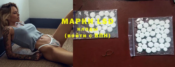 ПСИЛОЦИБИНОВЫЕ ГРИБЫ Михайловск