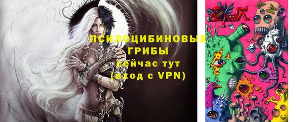 шишки Михайловка