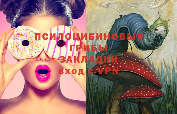ПСИЛОЦИБИНОВЫЕ ГРИБЫ Михайловск